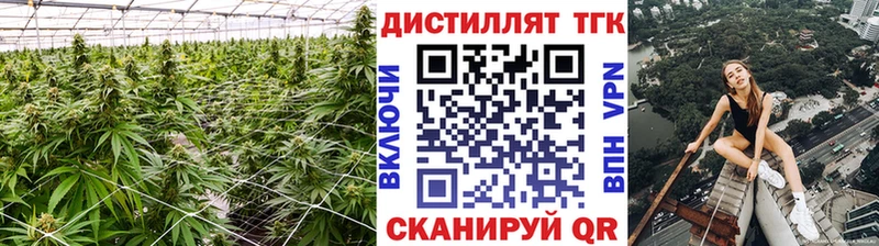 Дистиллят ТГК Wax  Купить  Уржум 