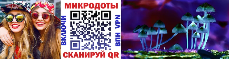 Купить где  Уржум  Галлюциногенные грибы Magic Shrooms 